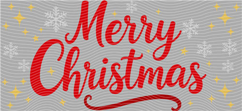 16oz Christmas-S 1159